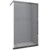 Obrazek Ścianka Walk-In Relax 100x200 chrom